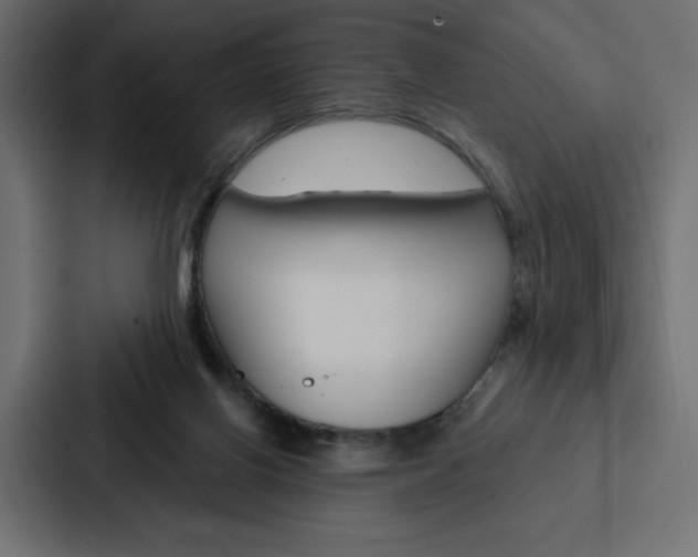 X0000088180070200705150948