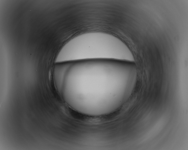 X0000088180075200705150948