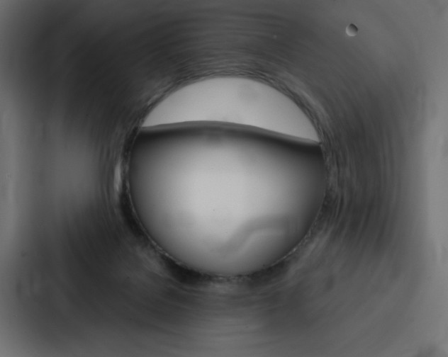 X0000088180076200705150948