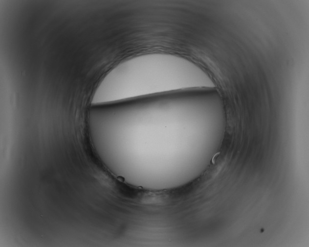 X0000088180077200705150948