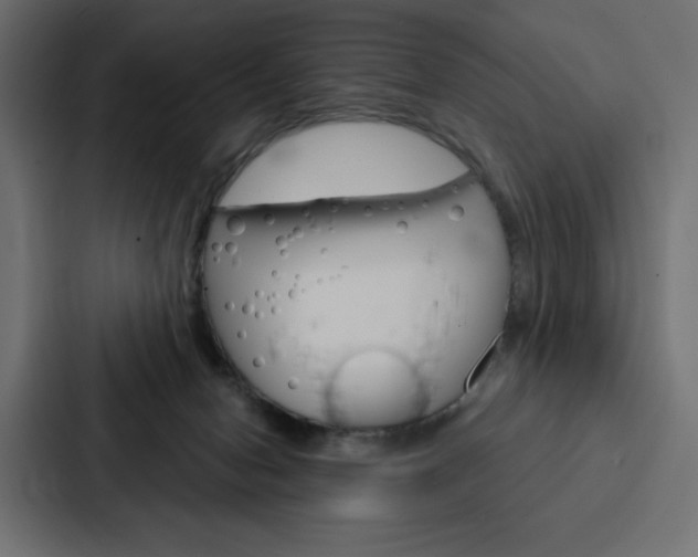 X0000088180078200705150948