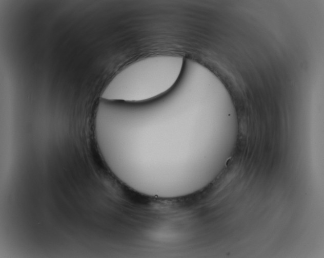 X0000088180079200705150948