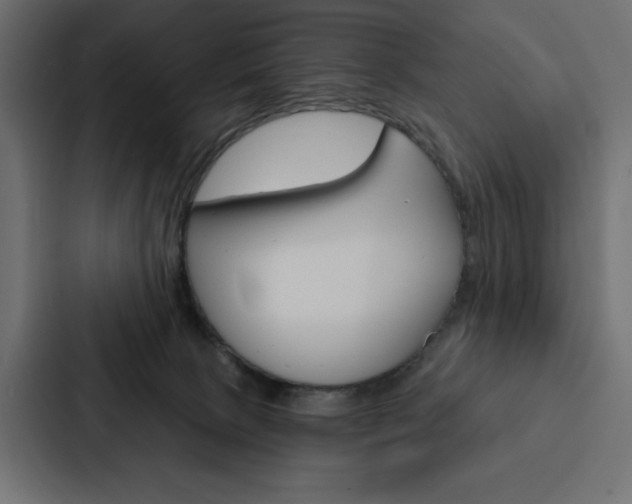 X0000088180081200705150948