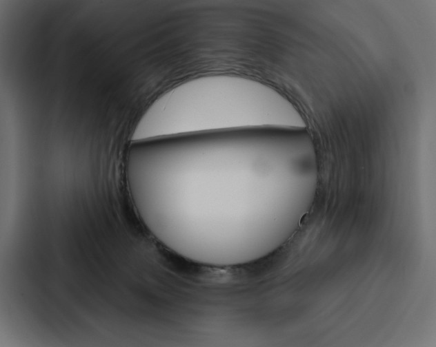 X0000088180083200705150948
