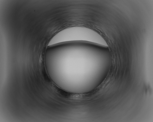 X0000088180084200705150948