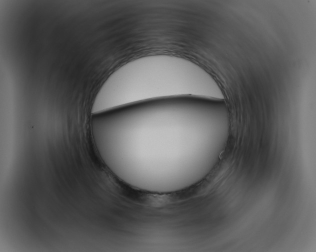 X0000088180085200705150948