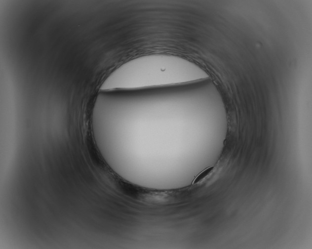 X0000088180086200705150948