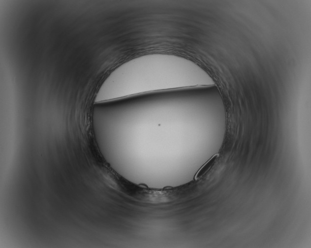 X0000088180091200705150948