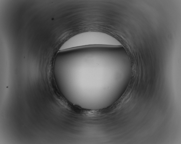 X0000088180092200705150948