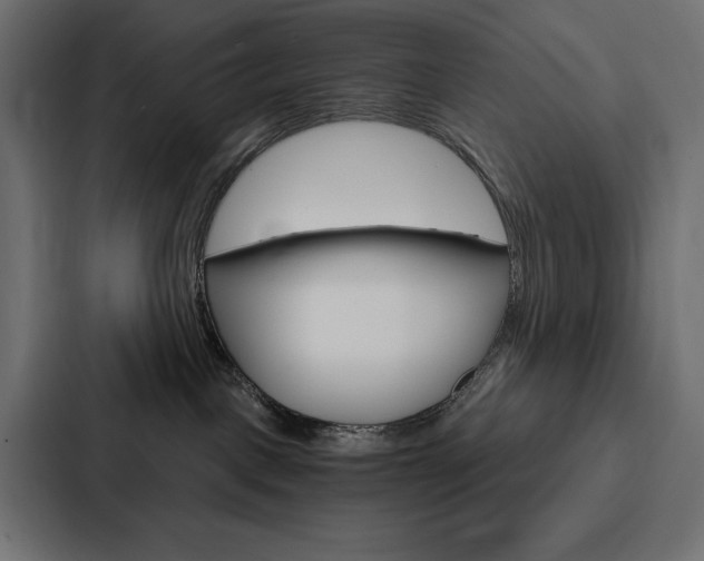 X0000088180093200705150948