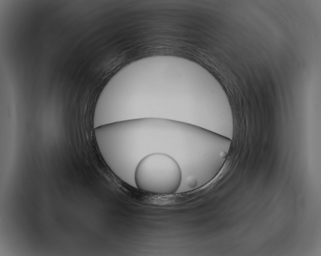 X0000088180094200705150948