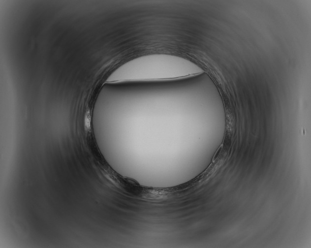 X0000088180095200705150948
