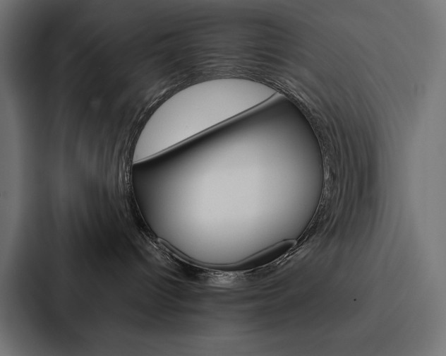 X0000088180096200705150948