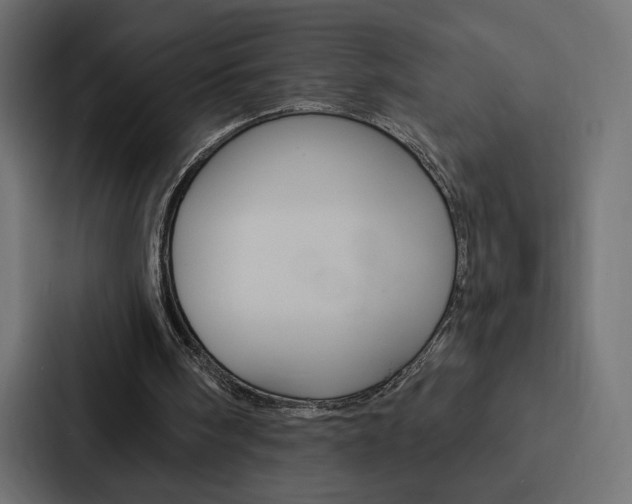 X0000088180098200705150947