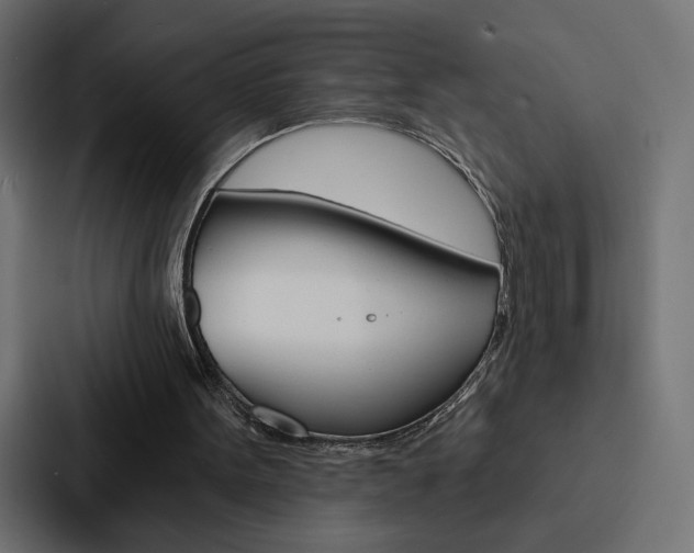 X0000088180099200705150947