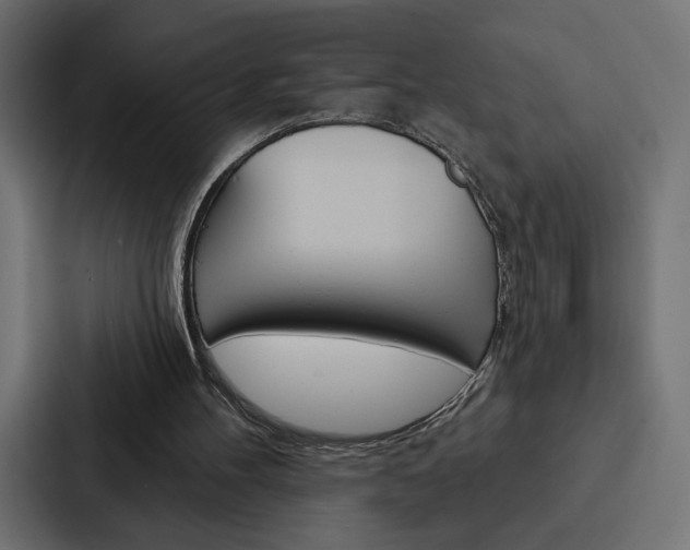 X0000088180100200705150947