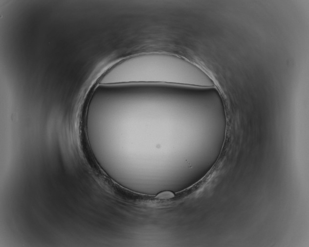 X0000088180103200705150947