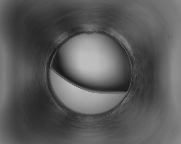 X0000088180105200705150947
