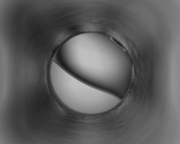 X0000088180109200705150947