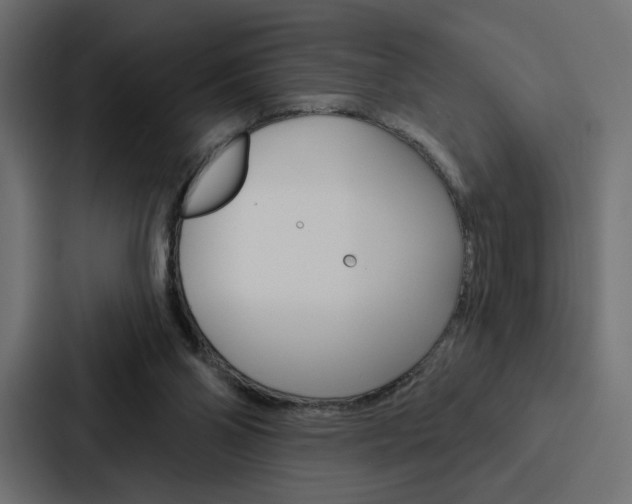 X0000088180110200705150947