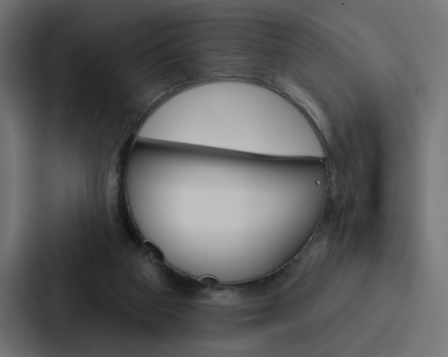 X0000088180113200705150947