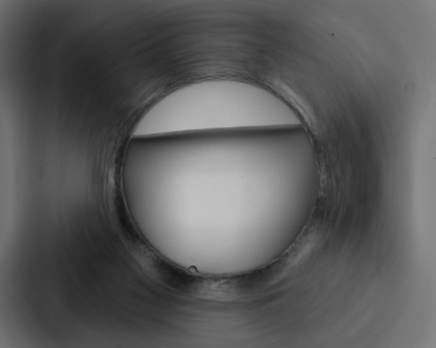 X0000088180117200705150947