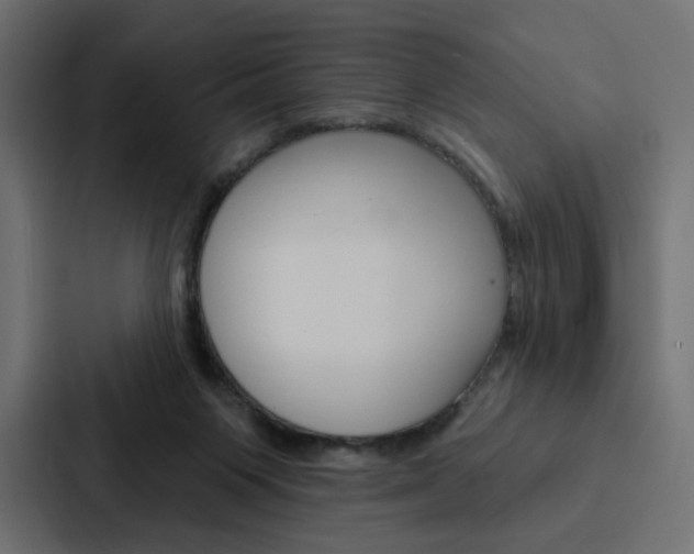 X0000088180119200705150947
