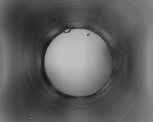 X0000088180120200705150947
