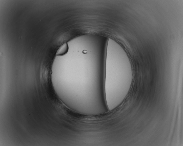 X0000088180123200705150947