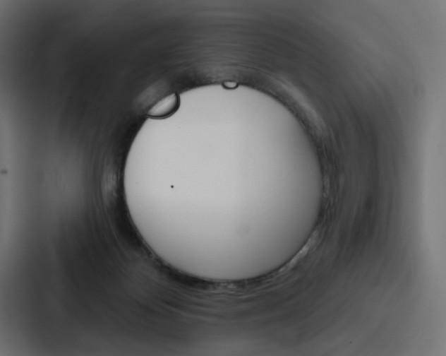 X0000088180124200705150947