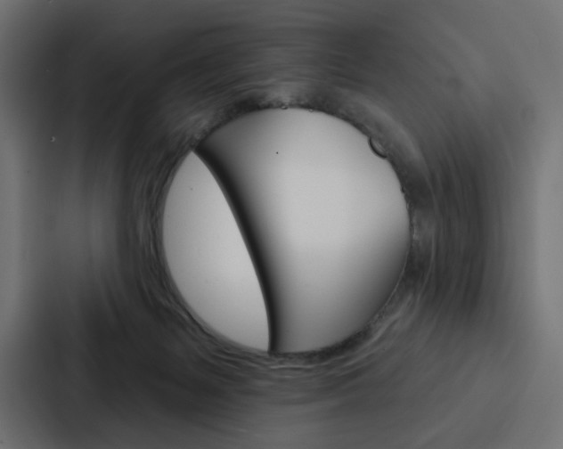 X0000088180127200705150947