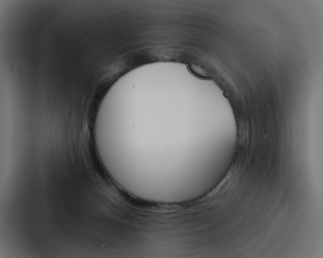 X0000088180128200705150947