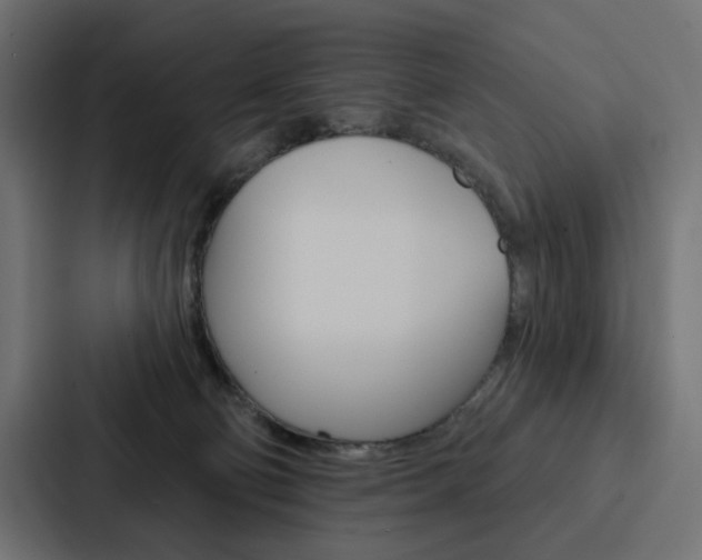 X0000088180130200705150947