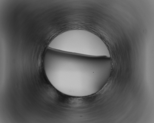 X0000088180132200705150947