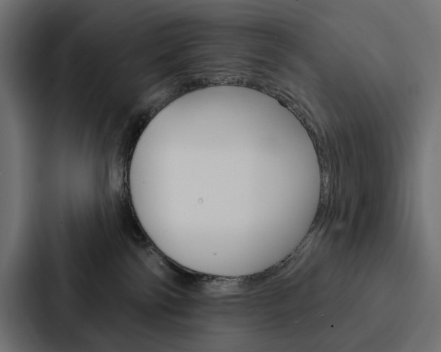 X0000088180138200705150947