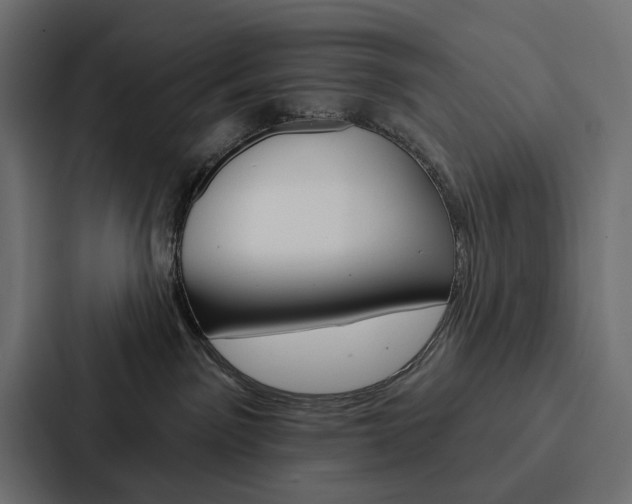 X0000088180141200705150947