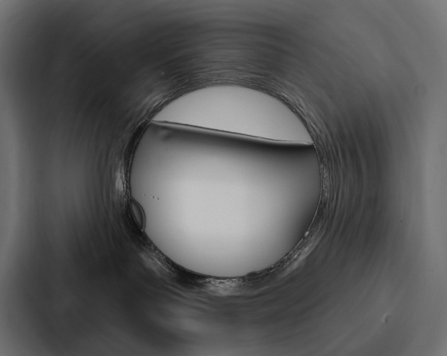 X0000088180143200705150947