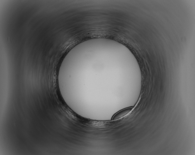 X0000088180144200705150947