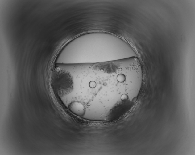 X0000088180145200705150946