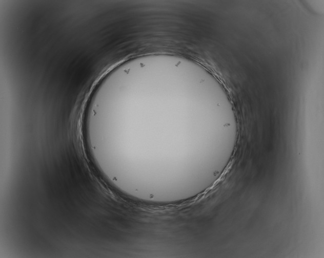 X0000088180146200705150946