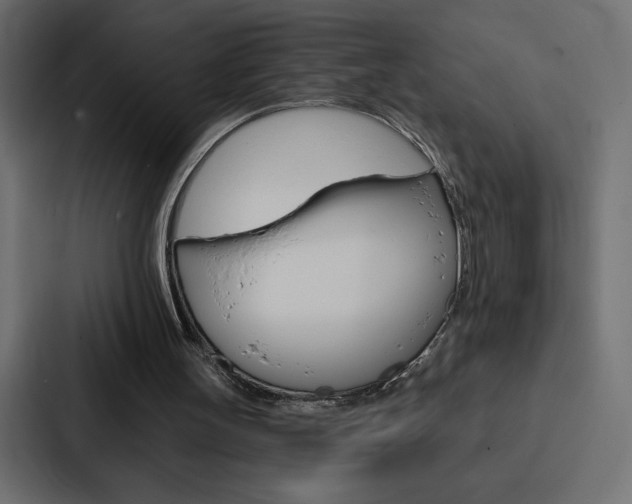 X0000088180147200705150946