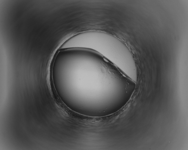 X0000088180148200705150946