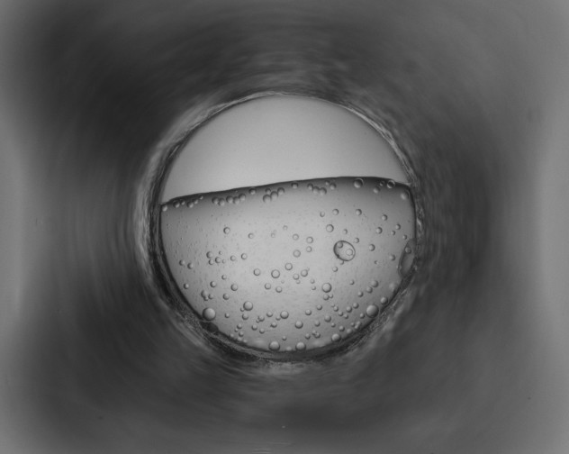 X0000088180149200705150946