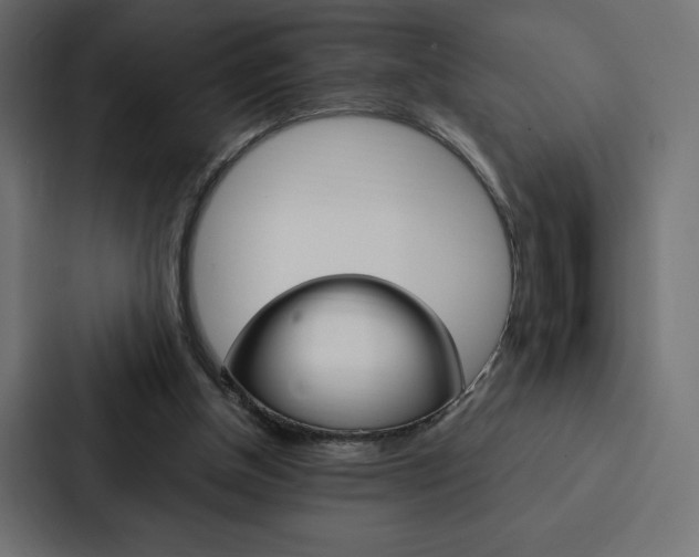 X0000088180154200705150946