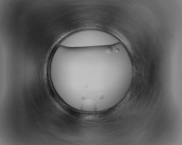 X0000088180155200705150946