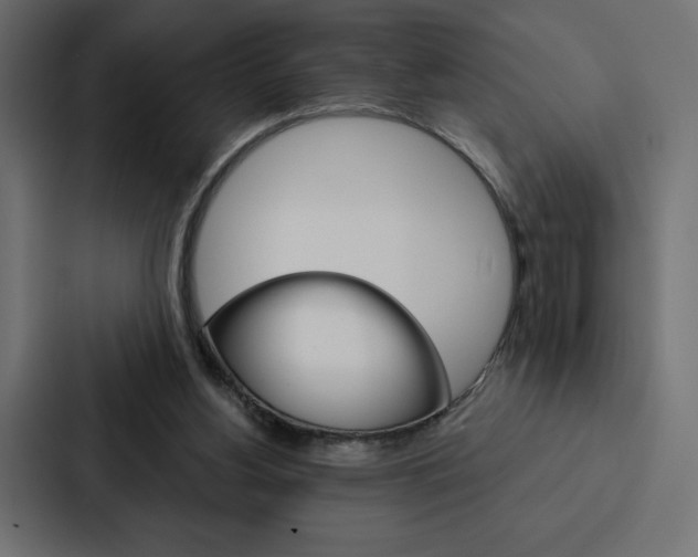 X0000088180156200705150946