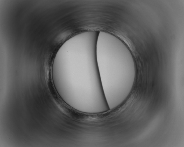 X0000088180157200705150946