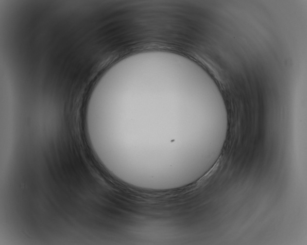 X0000088180158200705150946