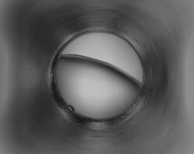 X0000088180160200705150946