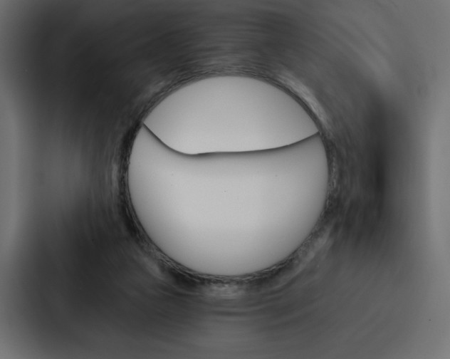 X0000088180161200705150946
